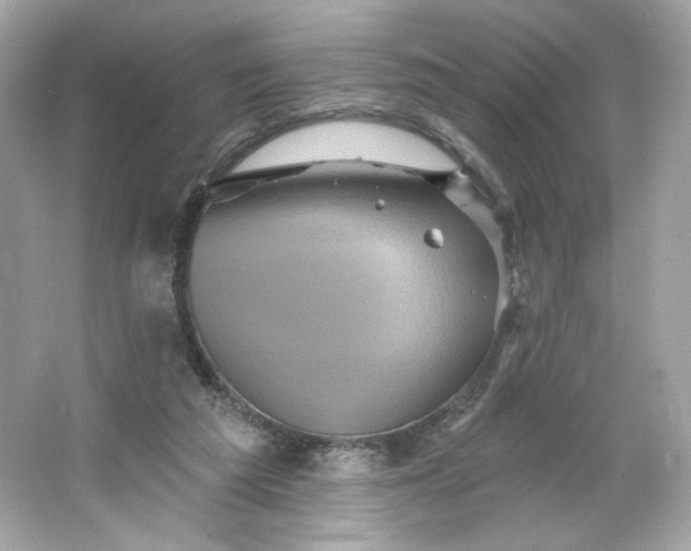 X0000066010209200603171514