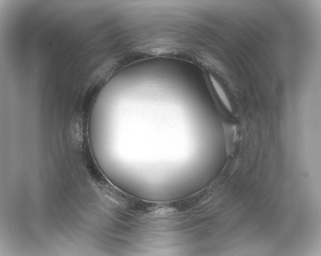 X0000066010210200603171514