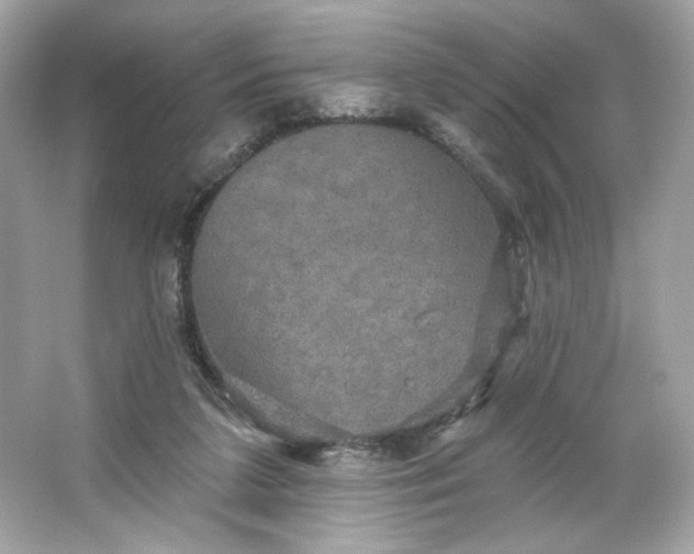 X0000066010211200603171514