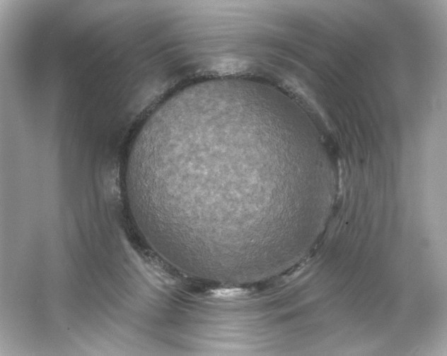 X0000066010212200603171514