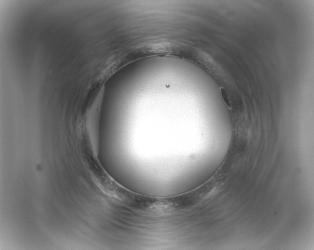 X0000066010213200603171514