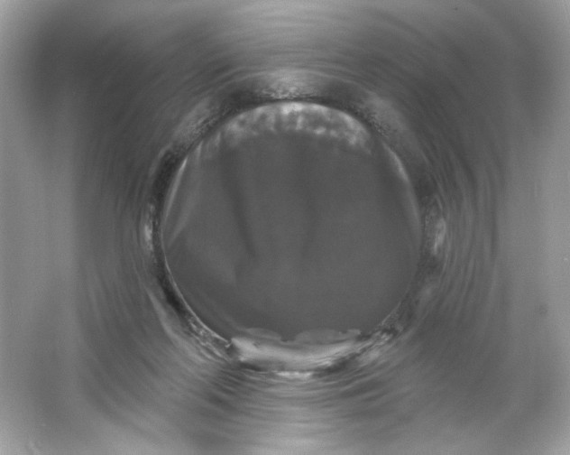 X0000066010214200603171514