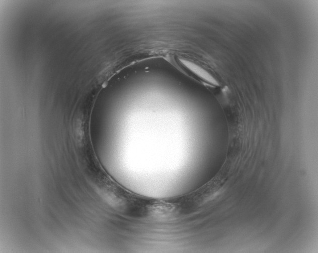 X0000066010215200603171514