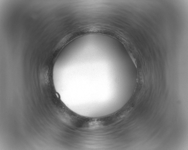 X0000066010216200603171514