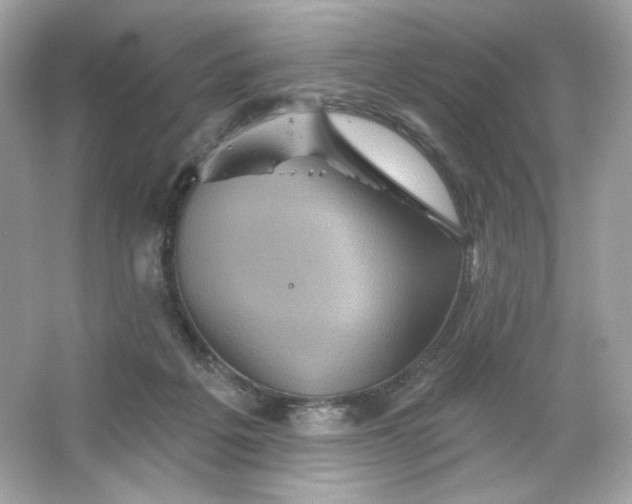 X0000066010217200603171514