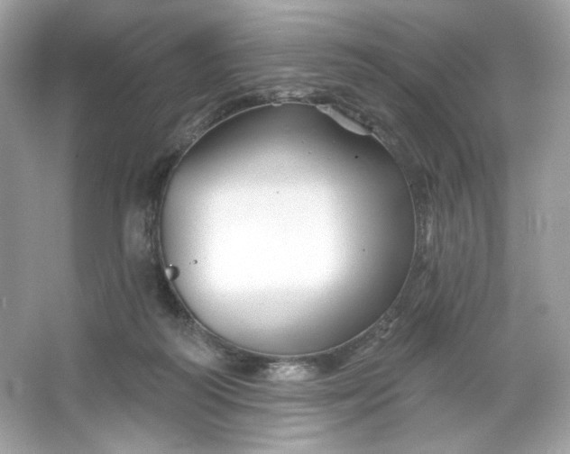 X0000066010218200603171514