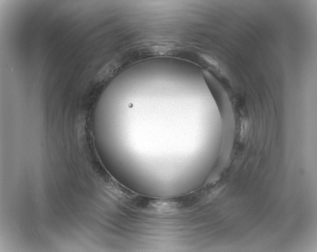 X0000066010221200603171514