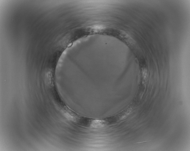 X0000066010222200603171514