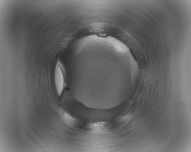 X0000066010223200603171514