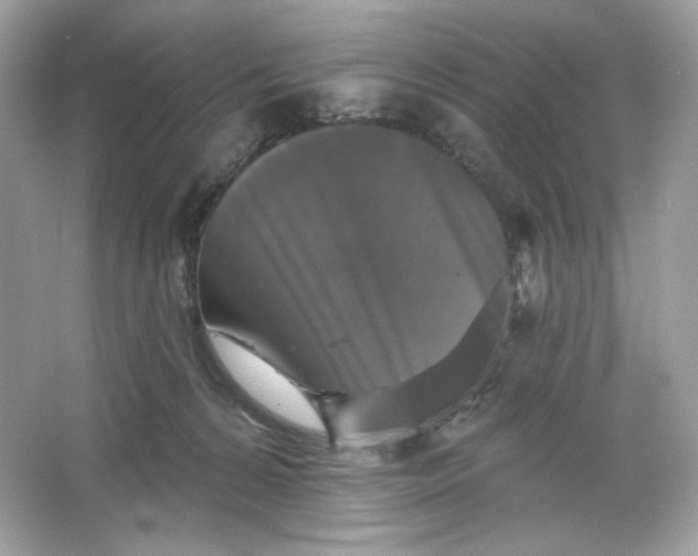 X0000066010224200603171514