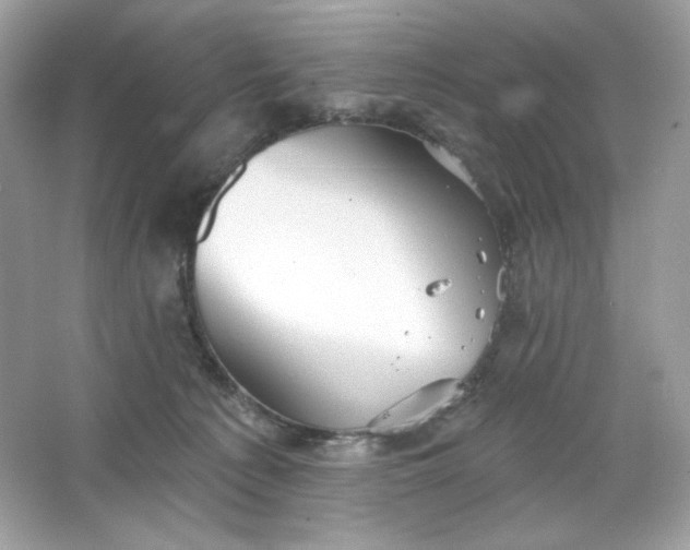 X0000066010225200603171514