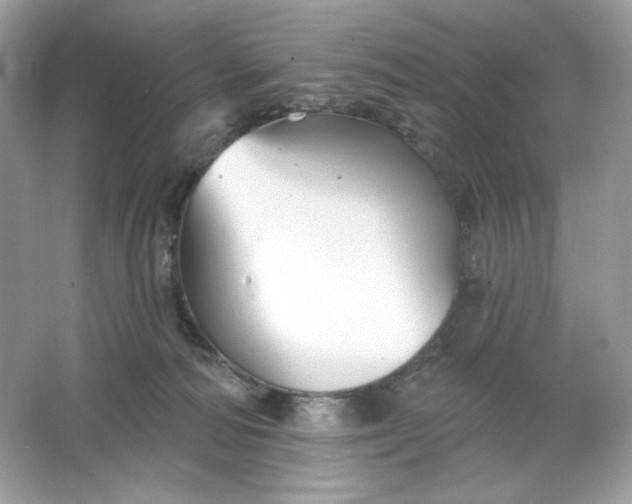 X0000066010226200603171514