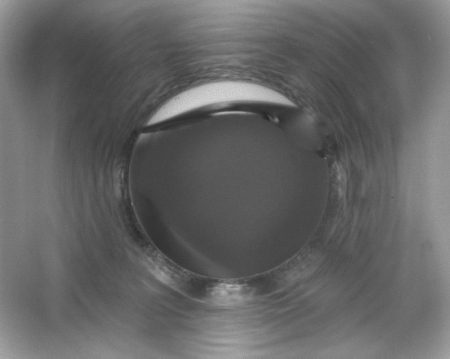 X0000066010227200603171514