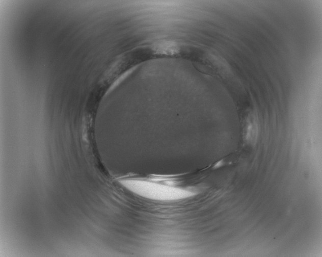 X0000066010229200603171514