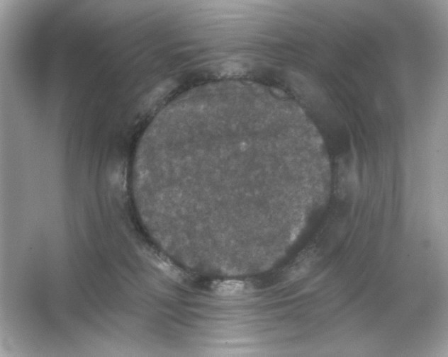 X0000066010230200603171514