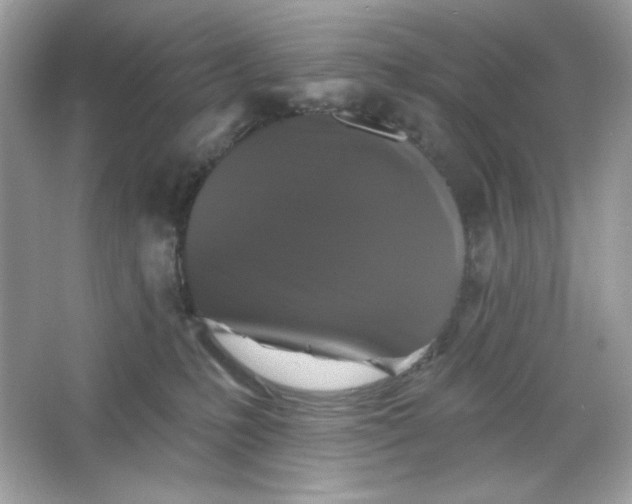 X0000066010231200603171514