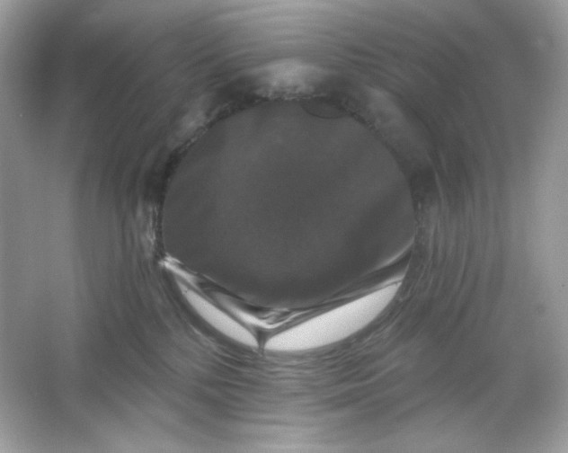 X0000066010232200603171514