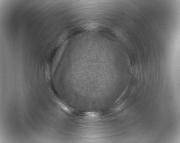 X0000066010234200603171514