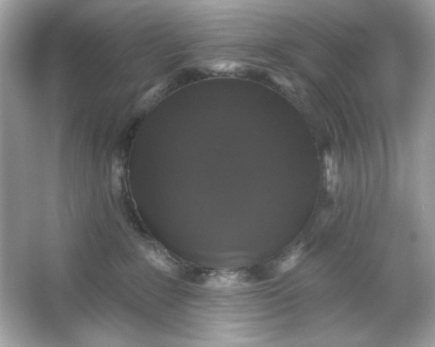 X0000066010235200603171514