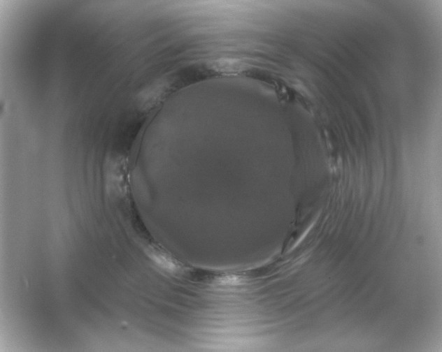 X0000066010237200603171514