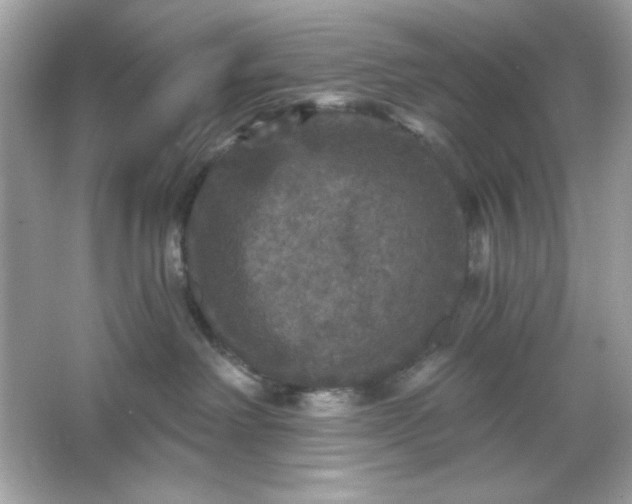 X0000066010238200603171514