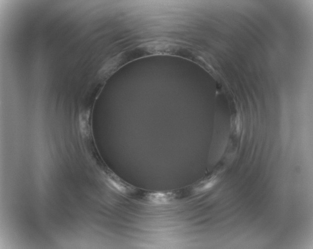 X0000066010239200603171514