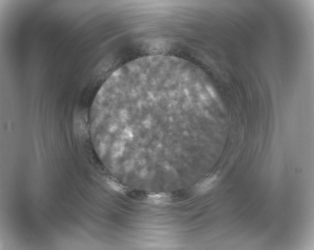 X0000066010240200603171514