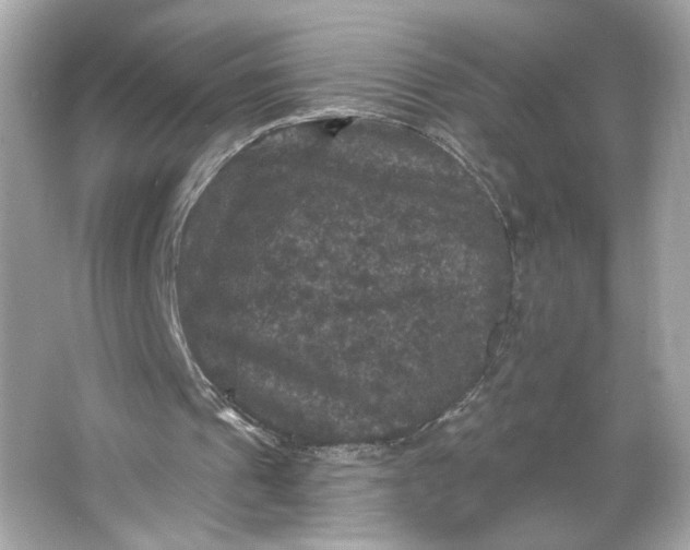 X0000066010241200603171513