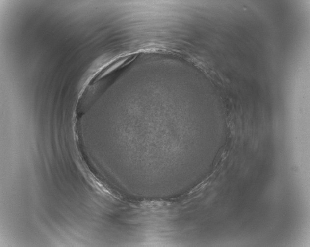 X0000066010242200603171513