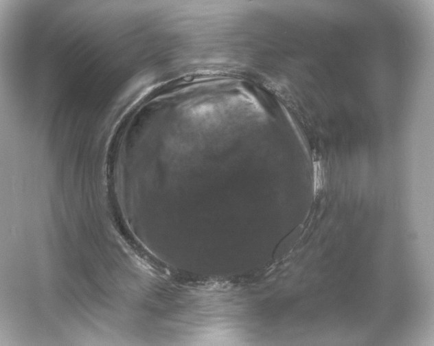 X0000066010243200603171513