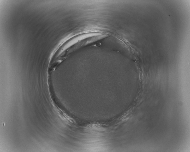 X0000066010244200603171513