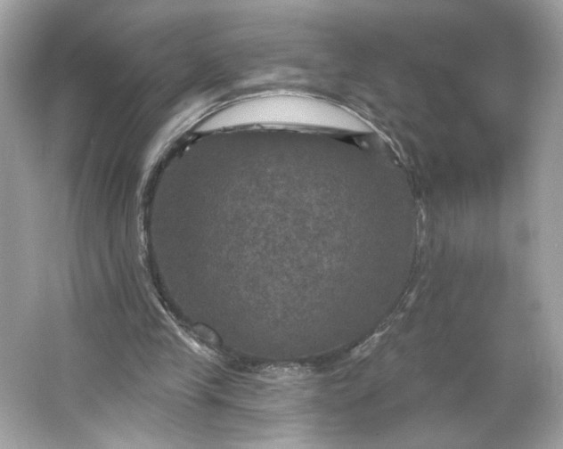 X0000066010245200603171513