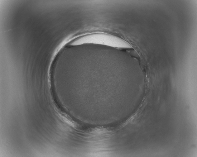 X0000066010246200603171513