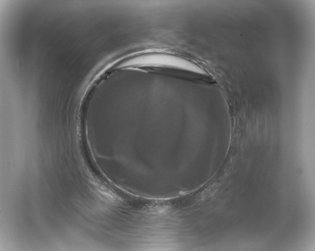 X0000066010247200603171513