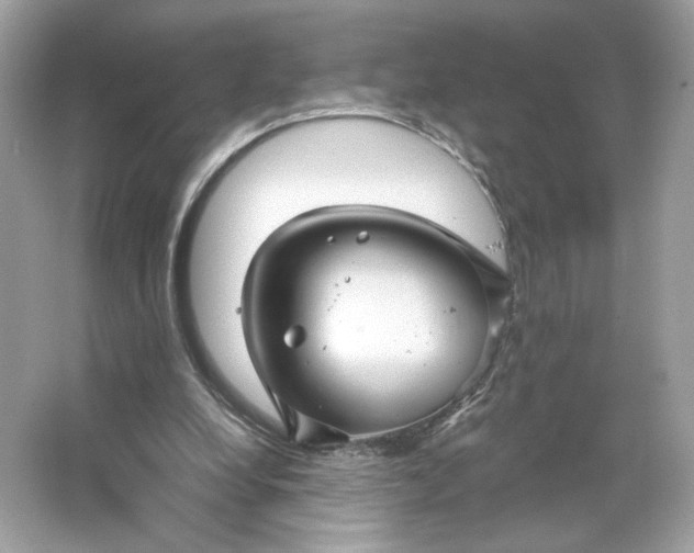 X0000066010248200603171513