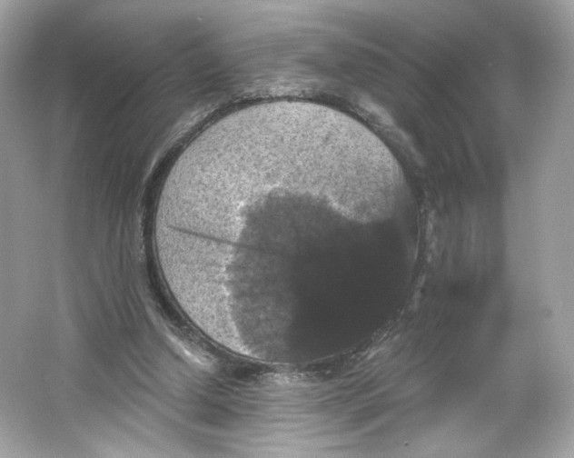 X0000066010250200603171513