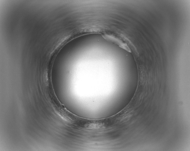 X0000066010251200603171513