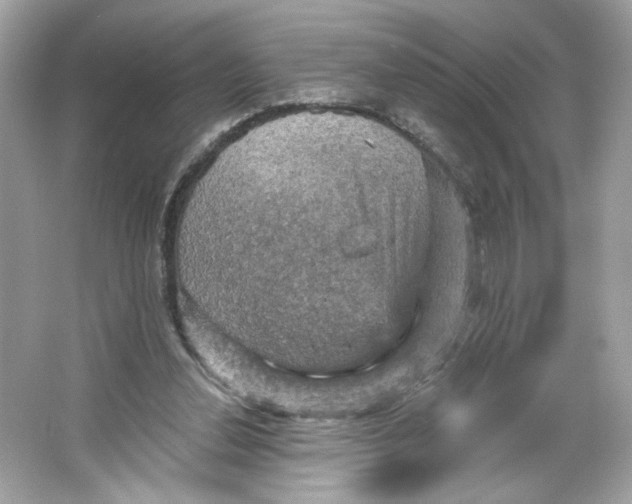 X0000066010252200603171513