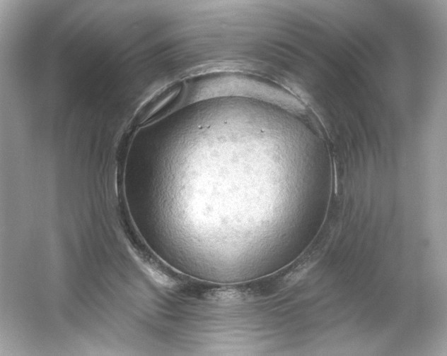 X0000066010253200603171513