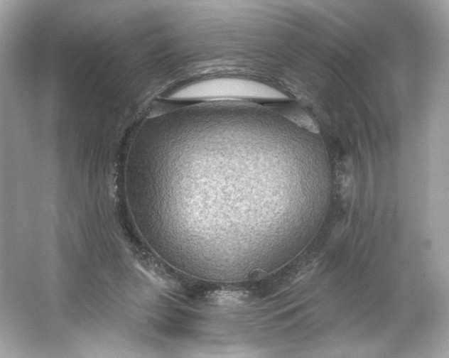 X0000066010255200603171513