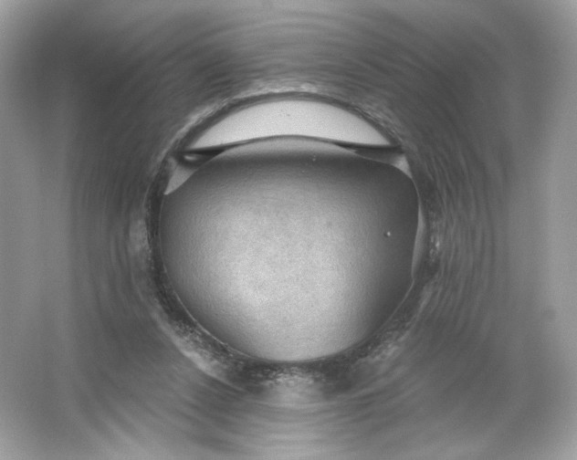 X0000066010256200603171513