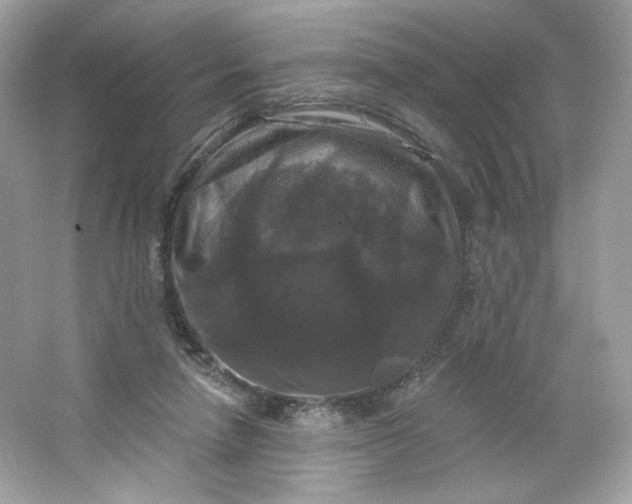 X0000066010258200603171513