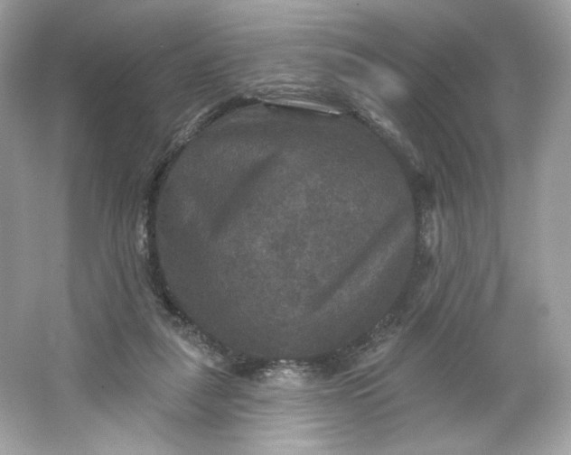 X0000066010259200603171513