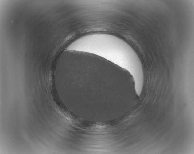 X0000066010260200603171513