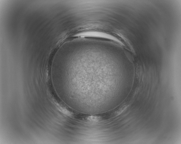 X0000066010261200603171513