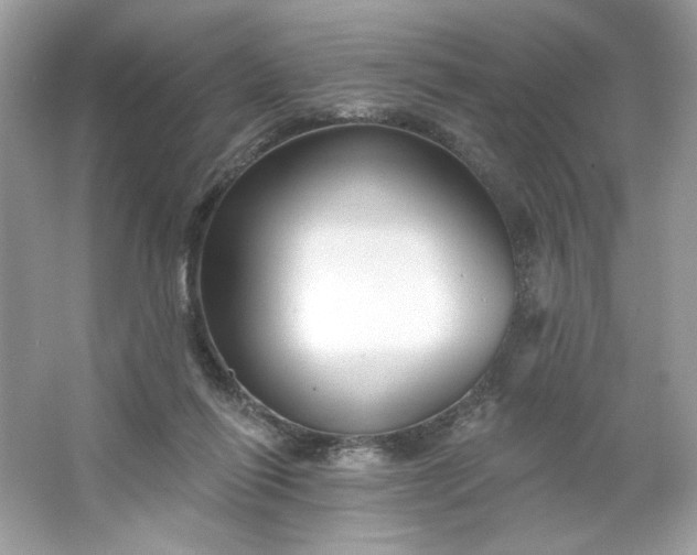 X0000066010262200603171513