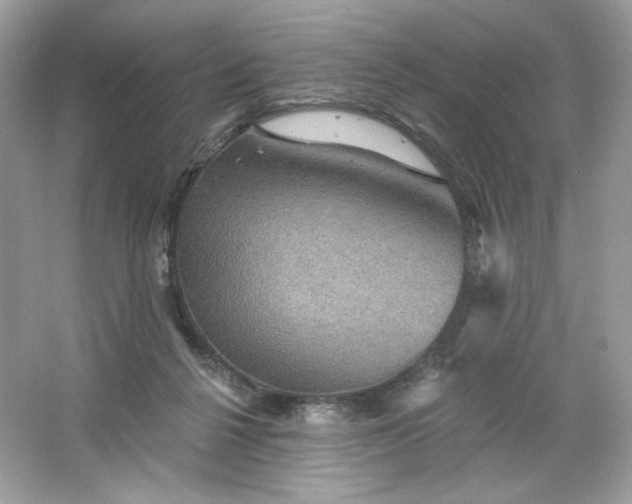 X0000066010264200603171513