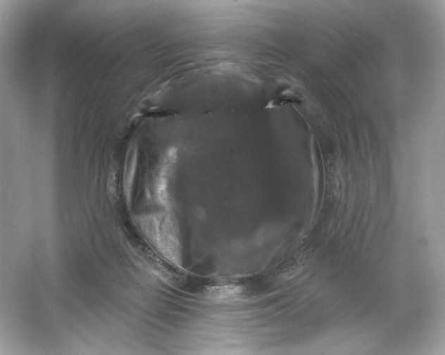 X0000066010266200603171513