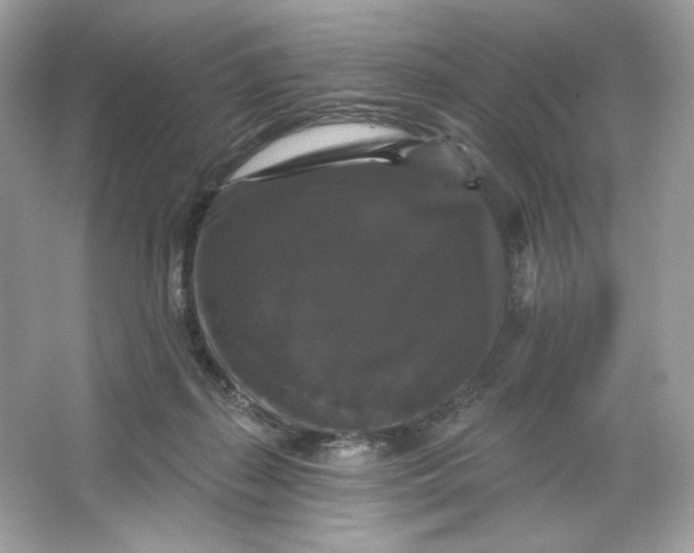 X0000066010267200603171513