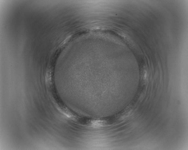 X0000066010268200603171513